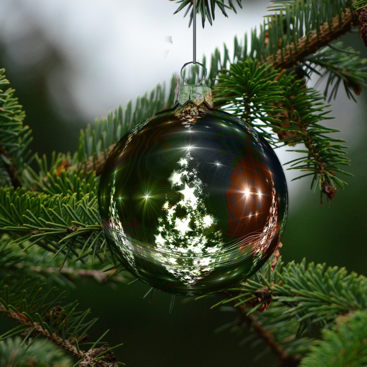 Bougie Parfumée Noël Sapin De Noël 283g - Cire De Soja Naturelle, Parfum Résineux, Coffret Cadeau Maison